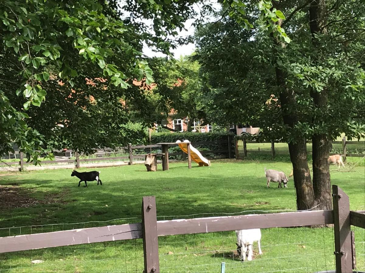 Familiehuis Boysen Appartementen Ribe Buitenkant foto