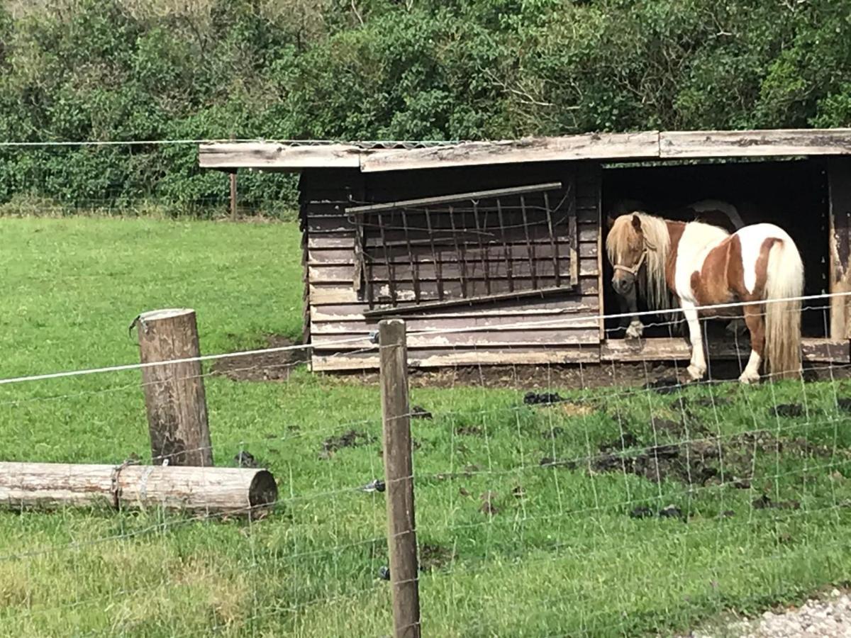 Familiehuis Boysen Appartementen Ribe Buitenkant foto