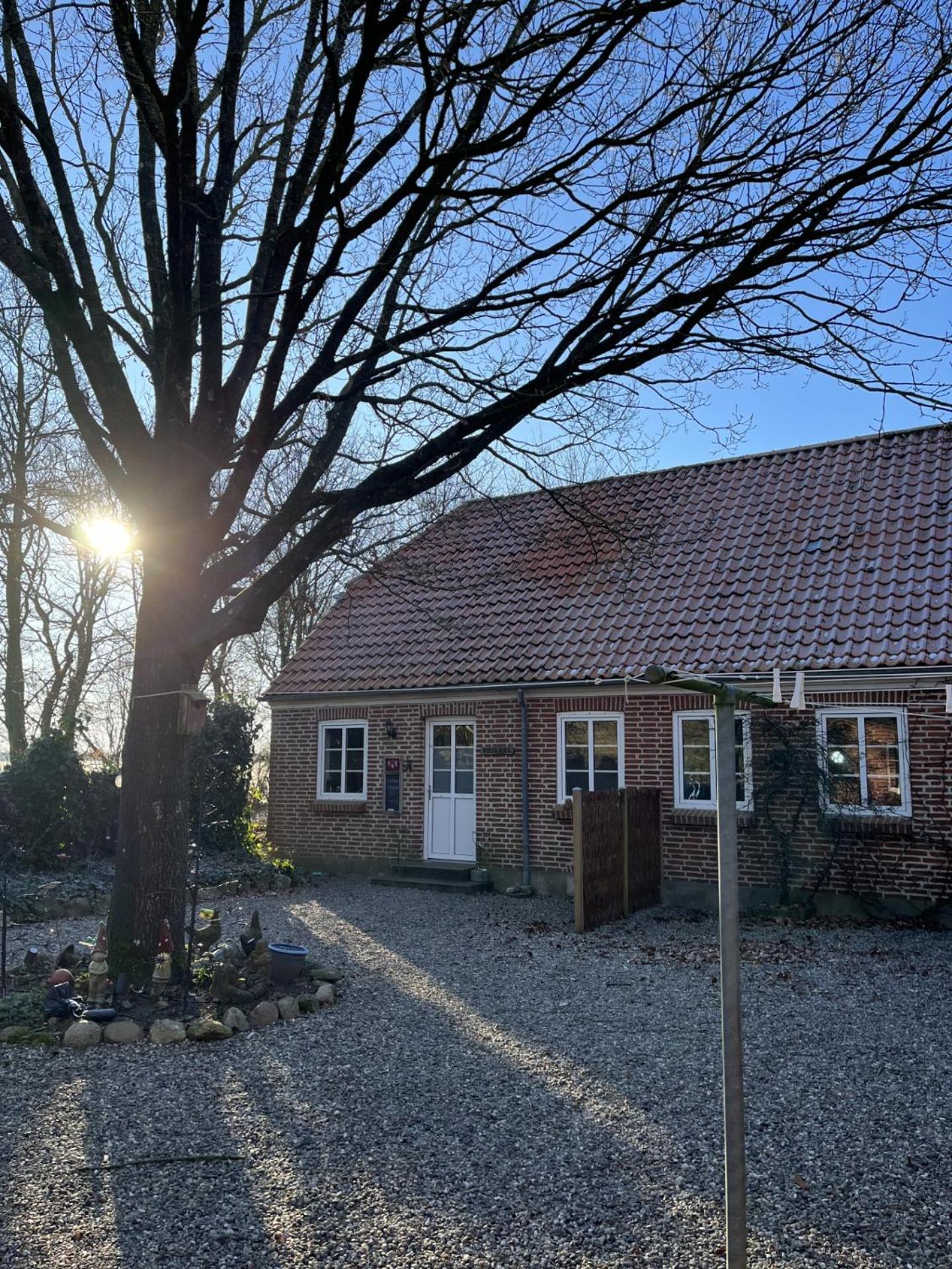 Familiehuis Boysen Appartementen Ribe Buitenkant foto