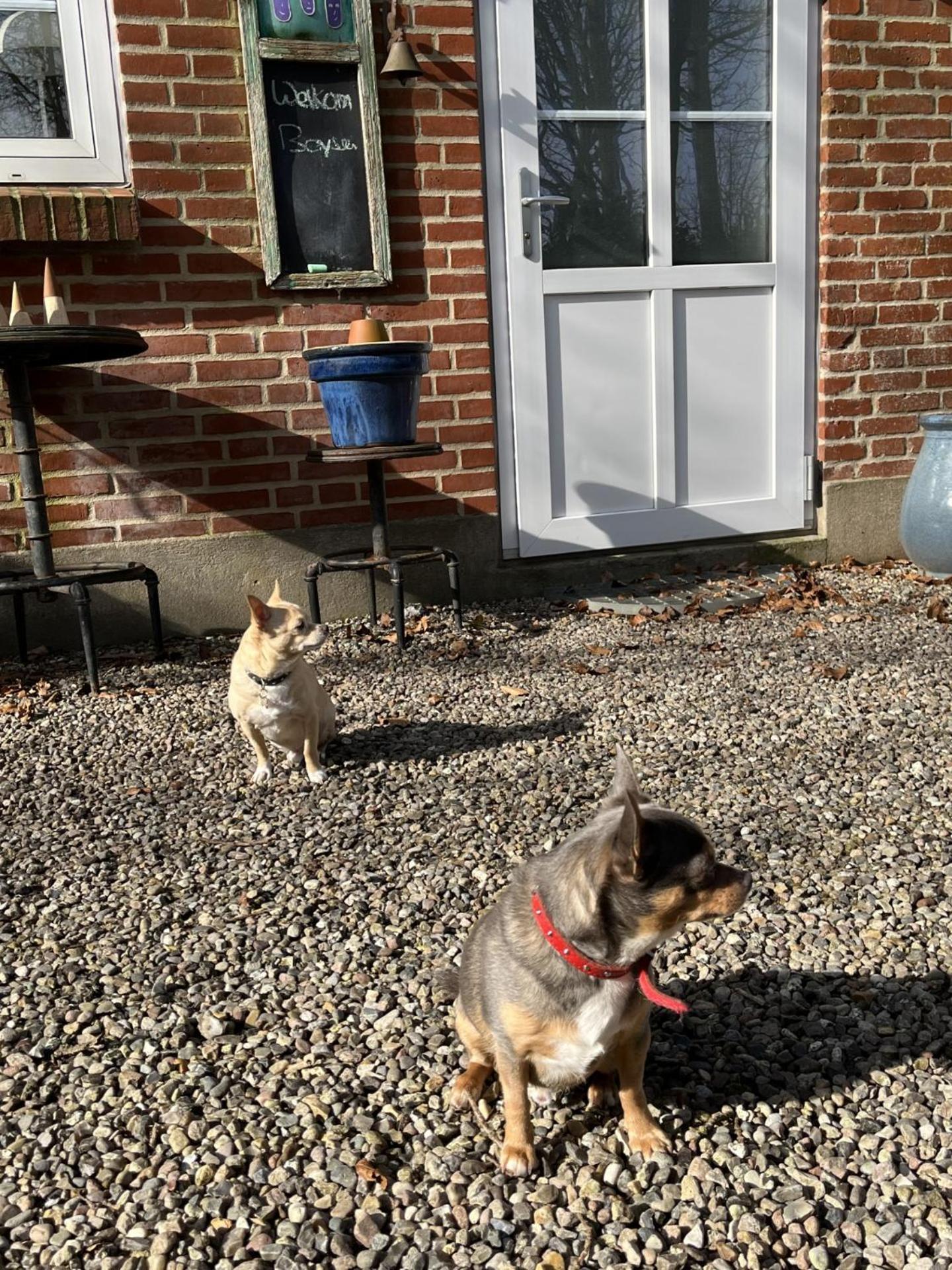 Familiehuis Boysen Appartementen Ribe Buitenkant foto