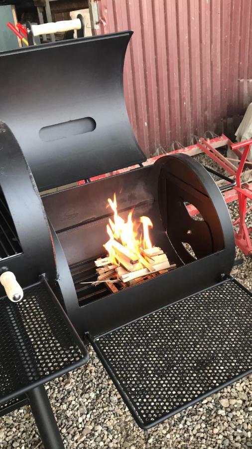 Familiehuis Boysen Appartementen Ribe Buitenkant foto